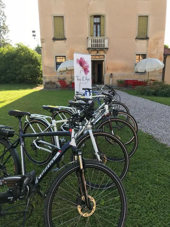 Villa Fiori&vigne di Cecilia Marcon Farra di Soligo Alloggio per agriturismo