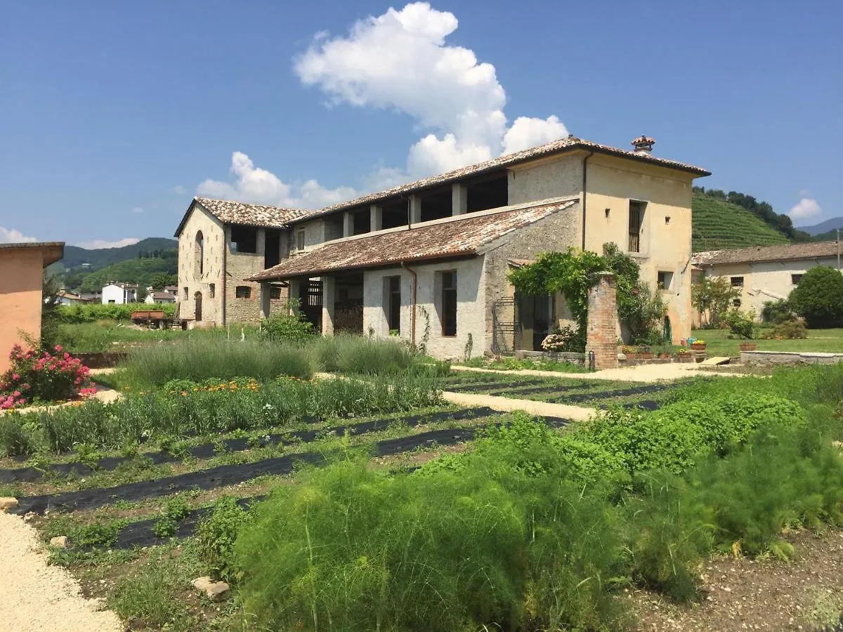Villa Fiori&vigne di Cecilia Marcon Farra di Soligo