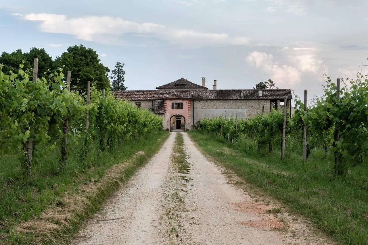 Farm stay Fiori&Vigne Di Cecilia Marcon Villa Farra di Soligo